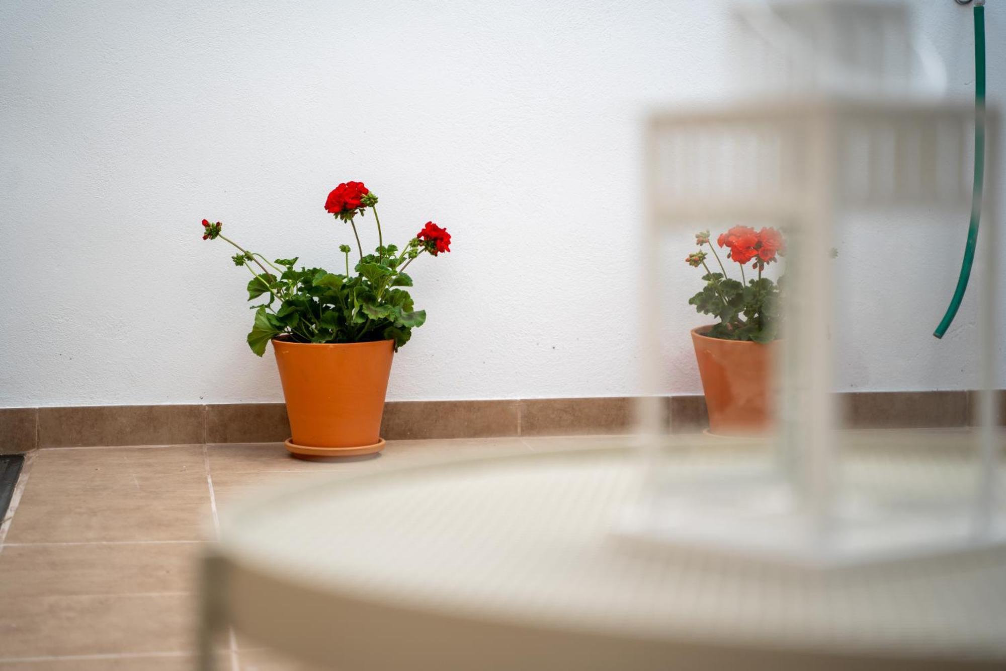 Appartement El Secreto De Chirinos